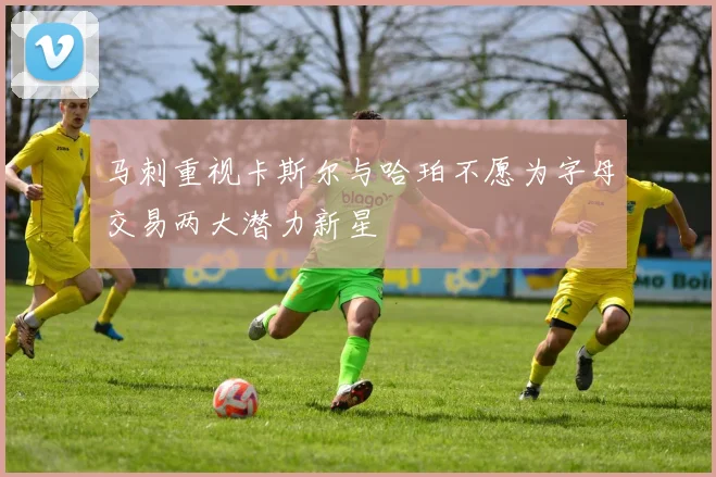 马刺重视卡斯尔与哈珀不愿为字母交易两大潜力新星