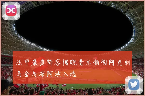 法甲最贵阵容揭晓青木领衔阿克利乌舍与布阿迪入选
