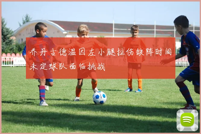 乔丹古德温因左小腿拉伤缺阵时间未定球队面临挑战