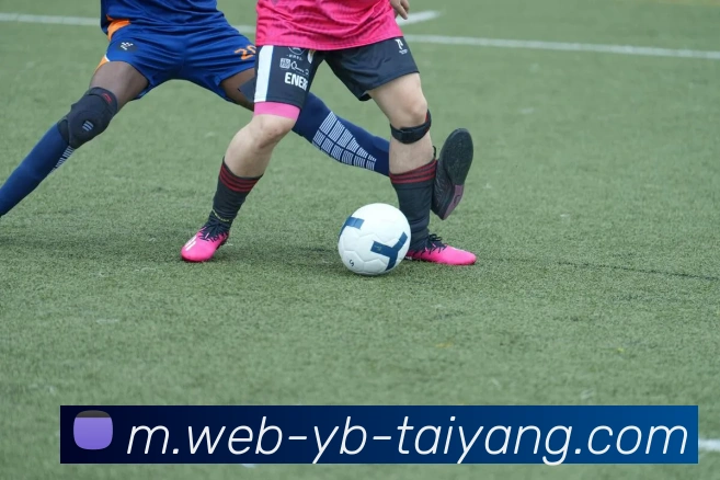 太阳城APP 封面图